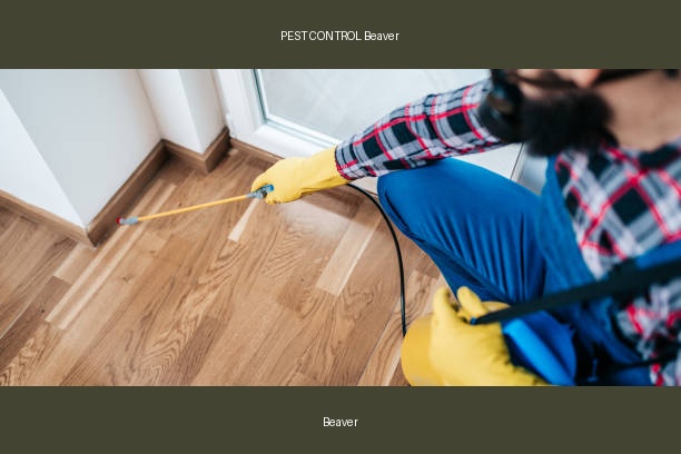 PEST CONTROL Beaver